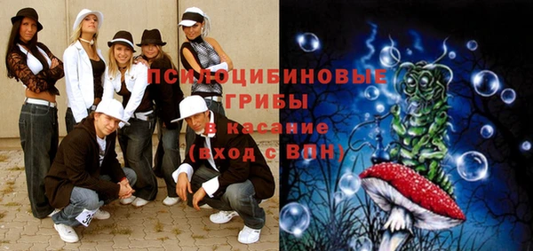 мет Касимов