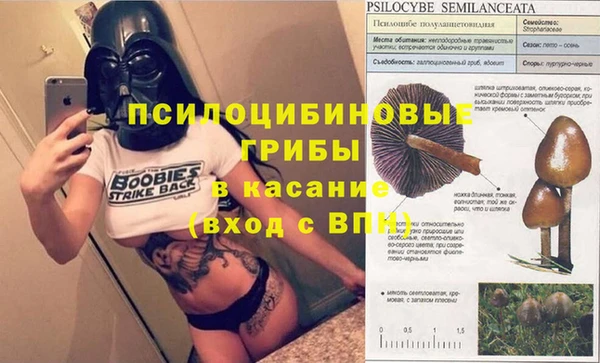 ALPHA PVP Киренск